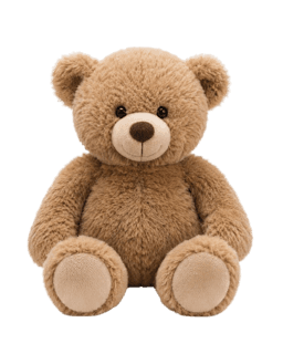 Reference photo of a teddy bear